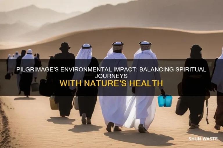 How to Manage Pilgrimage Health Risks: A Systematic Guide to Sacred Travel